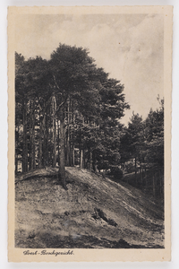 18131 Gezicht op de Soester Duinen te Soestduinen (gemeente Soest).